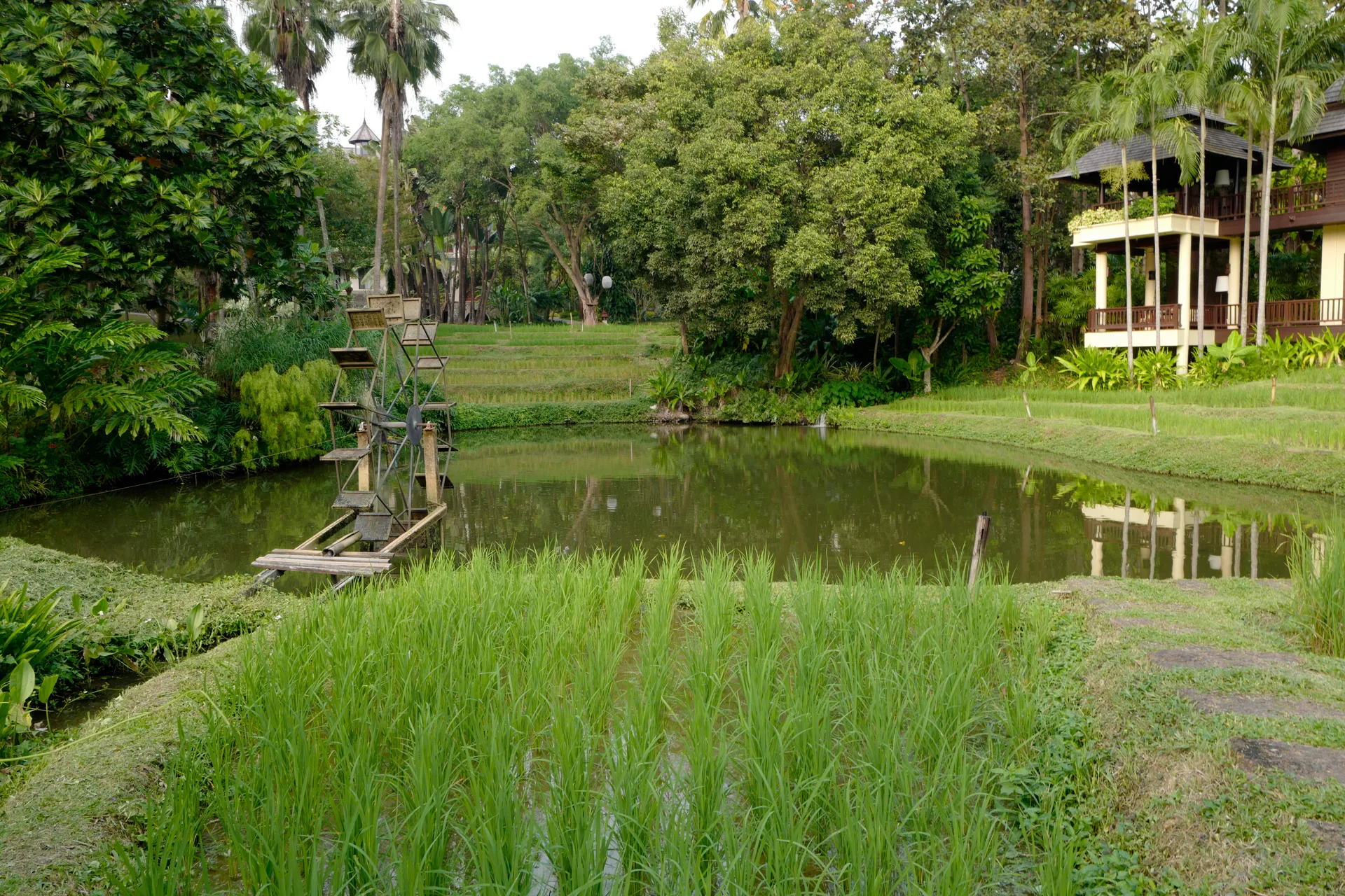 L1180043.JPG